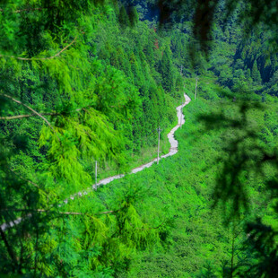 山间绿野中的蜿蜒小路