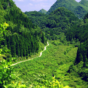 山间绿野小径