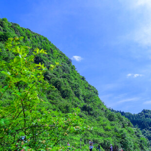 青山翠谷间的清新景致