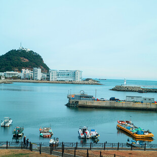 海滨码头风光