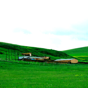 草原上的房屋与美景