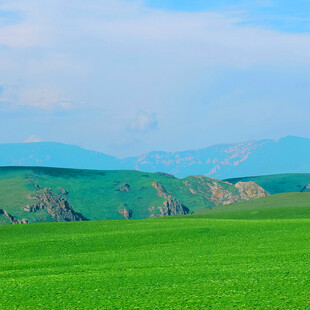 广袤绿野与远山美景