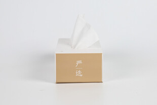 简约纸巾盒
