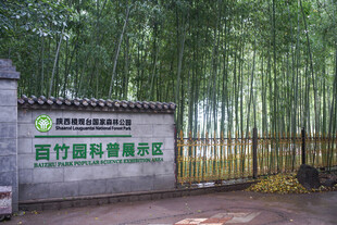 百竹园科普展示区