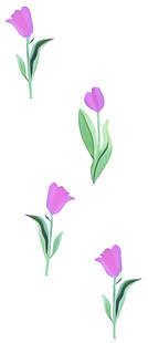 手绘紫色郁金香花卉图案