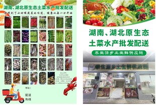 湖北原生态土特产果蔬配送