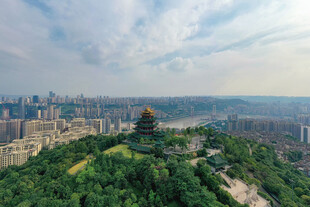 山城绿意中的古典建筑景观