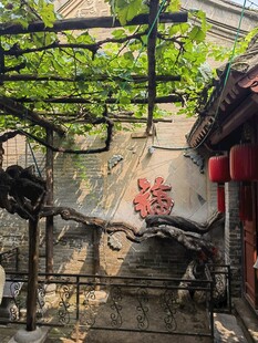 古巷中式景致绿意红饰相伴