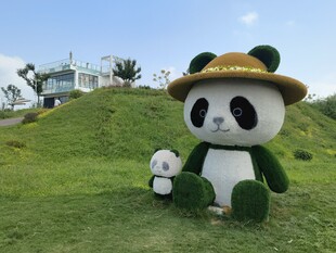 草地上的熊猫玩偶与小物