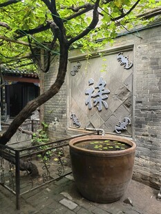 中式庭院水缸与书法景致