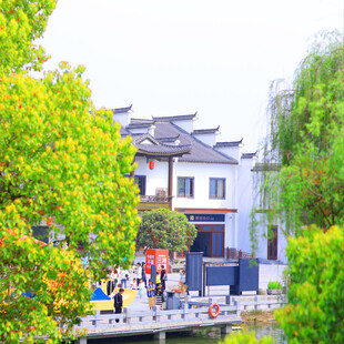 江南水乡古宅旁的热闹景象
