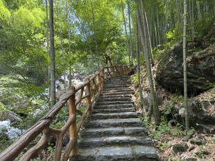 山林中的阶梯步道