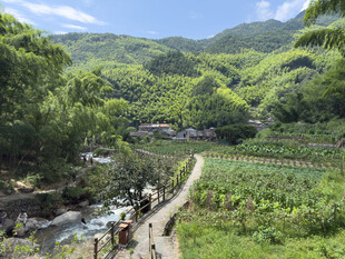 山间田园小溪的美丽景致