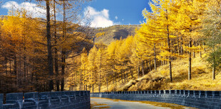 秋日山林公路美景