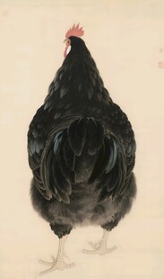 黑鸡插画