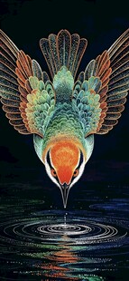 翠鸟入水插画