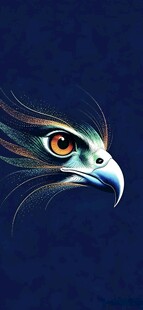 鹰眼插画