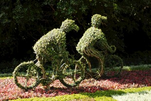 花园双人骑行景观