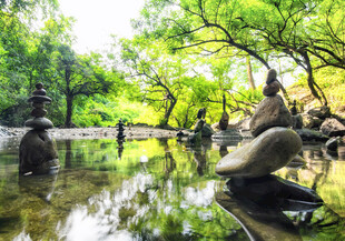 静谧林间水景