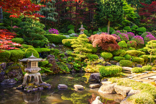 日式禅意花园景观