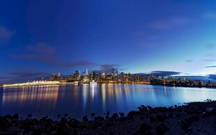 夜幕下的城市湖畔美景