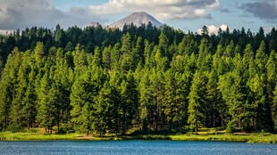 湖畔森林与远山美景