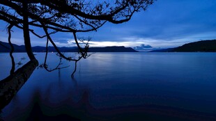 静谧湖畔夜景