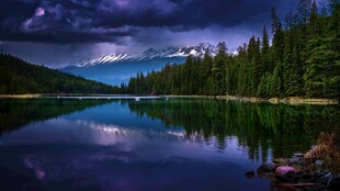 宁静湖畔森林夜景