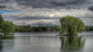 湖畔绿树与阴云美景
