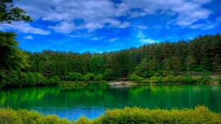 翠绿山林环绕的静谧湖泊