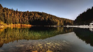 宁静湖畔的自然美景