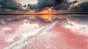 梦幻粉湖天地间的绮丽景致