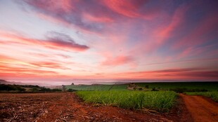 田园晚霞美景