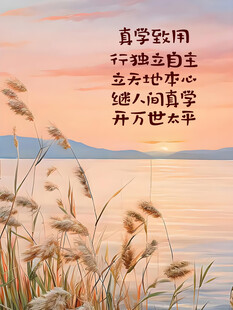 夕阳下的诗意芦苇与文字
