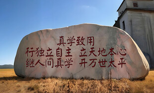 校园励志景观石 真学致用