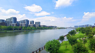 河畔城市风光