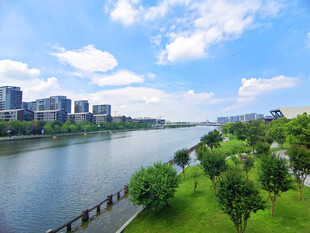 河畔城市风光