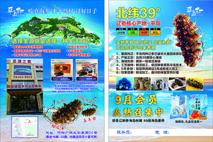 海岛旅游海参宣传页