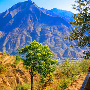 山间绿树与壮美山峦景色