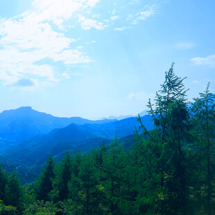 青山绿树间的蓝天美景