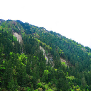 翠绿山峦间的自然景致