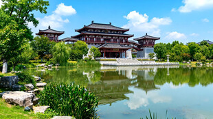 江苏徐州市汉文化景区夏季风光