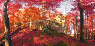 秋日山林绚丽风光