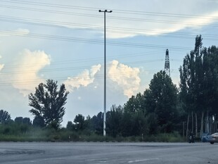 空旷停车场与远处树木天空