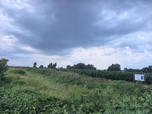 田野上空的厚重乌云