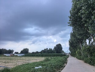 乡间小路旁的田园风光
