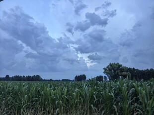 田野上空的阴云密布景象