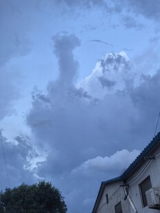 天空中形态各异的云朵