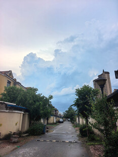 雨后乡村小道风景