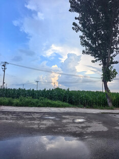 雨后乡村道路与绿树蓝天